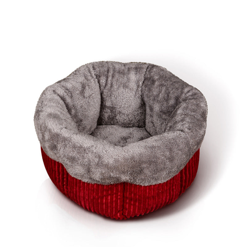 Warm cat litter in winter
