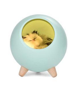 Ambient Light USB Rechargeable LED Night Light
