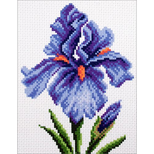 Collection D'Art Printed Aida for Cross Embroidery, Cotton, Bluebells, 12 x 16cm