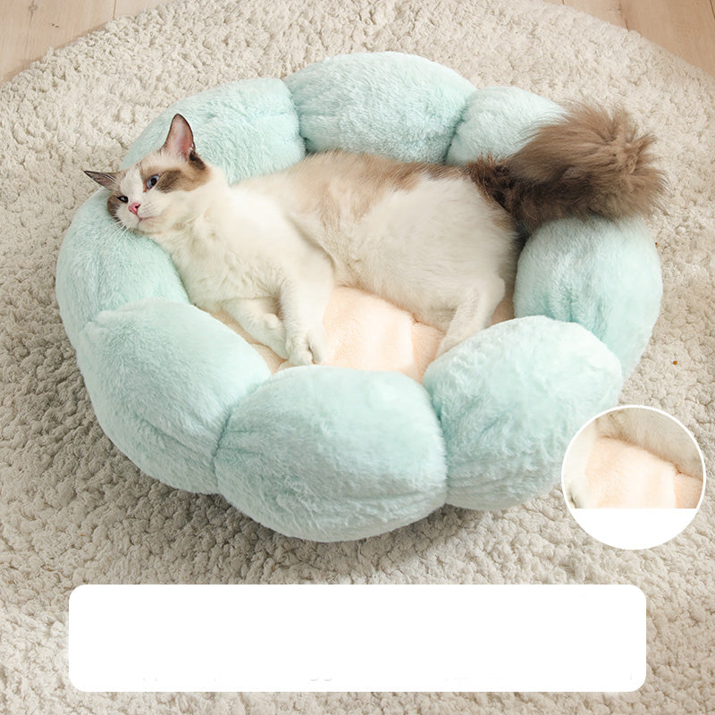 Cat and dog pet nest