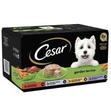 Cesar Garden Terrine Dog Food Tray Mixed in Loaf 8 x 150g - Case of 3