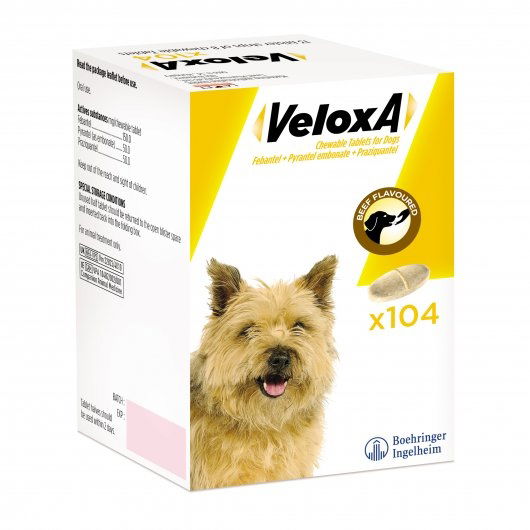 Veloxa Worming Tablets for Dogs - Full Cases