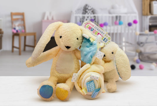 Sensory Snuggables Bunny & Blankie Baby Gift Set | Soft Toy for Babies