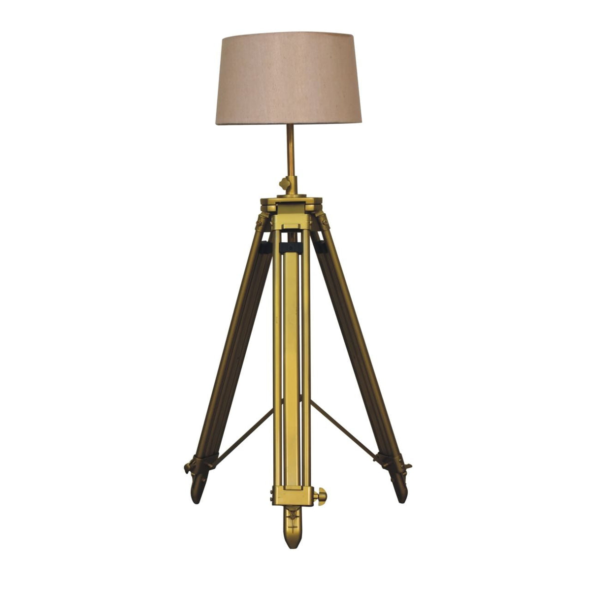 Artisan Brass Plated Floor Lamp