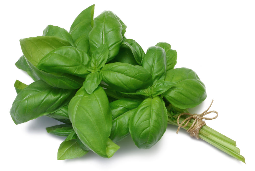 Basilikum (100g)