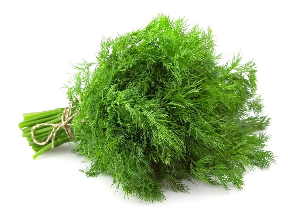 Fresh Dill – 100g