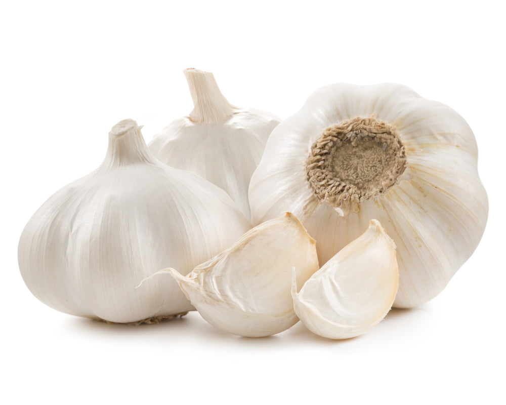Knoblauch