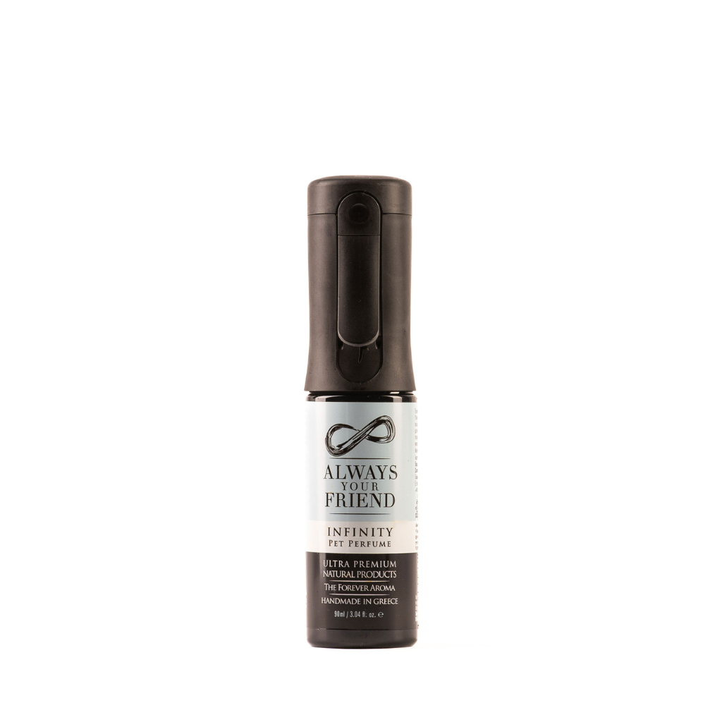 Always Your Friend Infinity Perfume - Long-Lasting Perfume Spray (90ml)