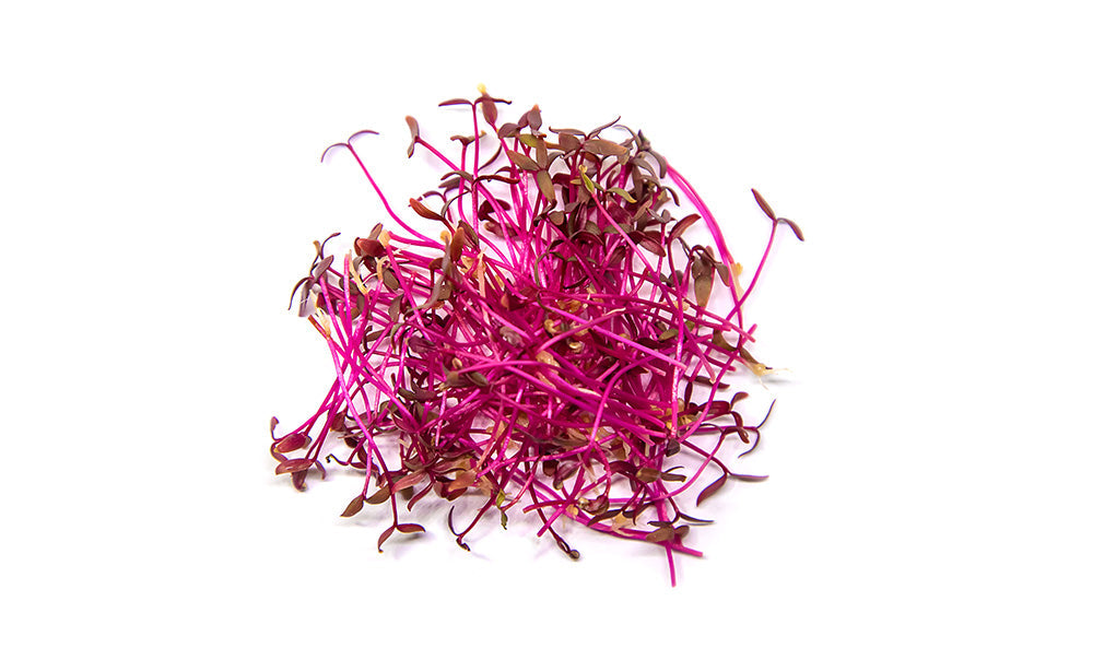 Micro Red Amaranth | Fresh Microgreens | 30g