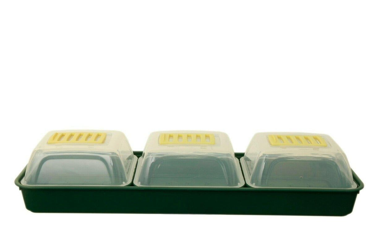 Whitefurze G2666 7 Piece Windowsill Propagator Set - Green