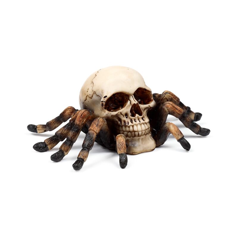 Skull with Spider Legs