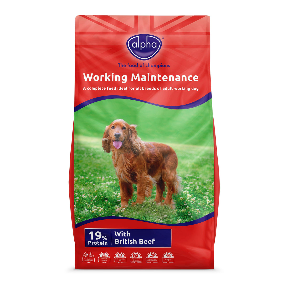 Alpha Adult Maintain Worker Beef 15kg