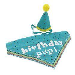 Ancol Pawty Its My Birthday Hat & Bandana, blue