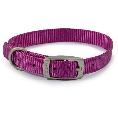 Ancol Viva Buckle Col Purple 26-31cm