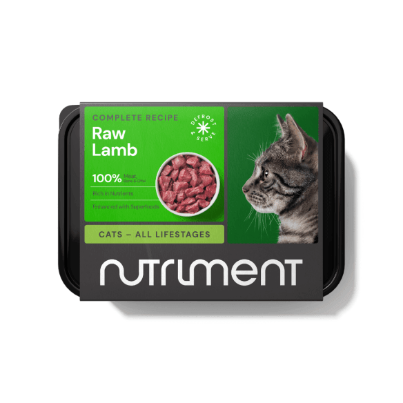 Cat Lamb formula - Adult - 500g tub - Case of 10