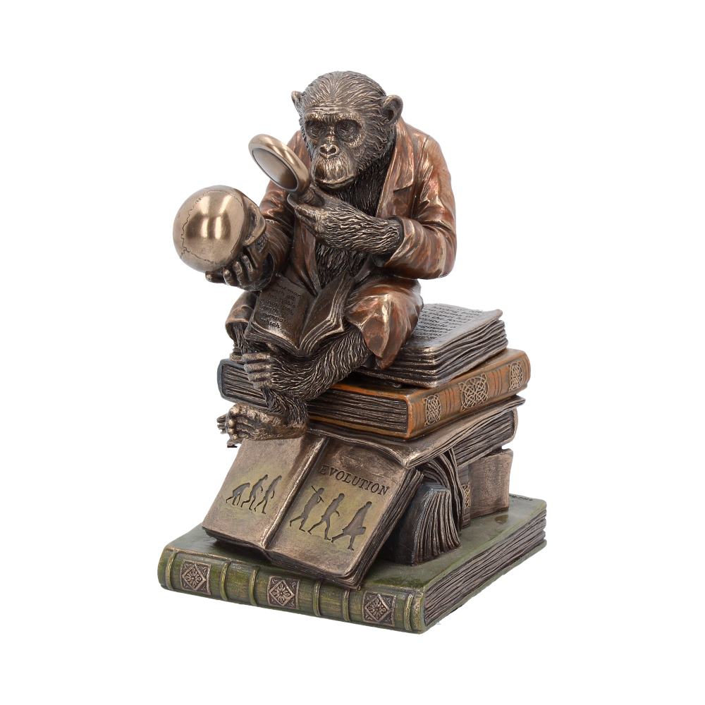 Darwinism of Evolutionary Theory 17.5cm