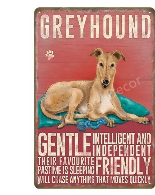 Greyhound Dog Tin Sign