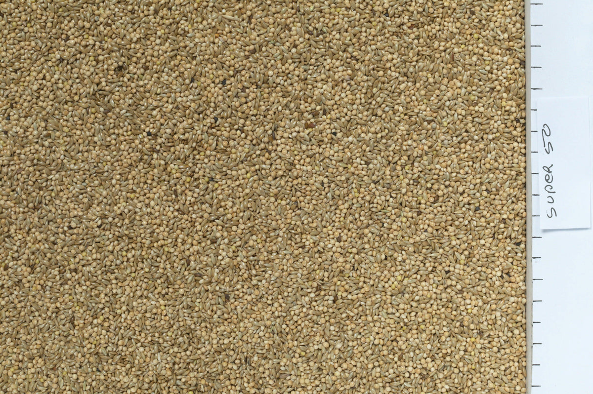 Johnston & Jeff Super 50 Budgieseed 20kg