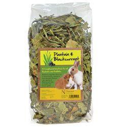 Natural Nibbles Forage Plantain and Blackcurrant - Case of 6