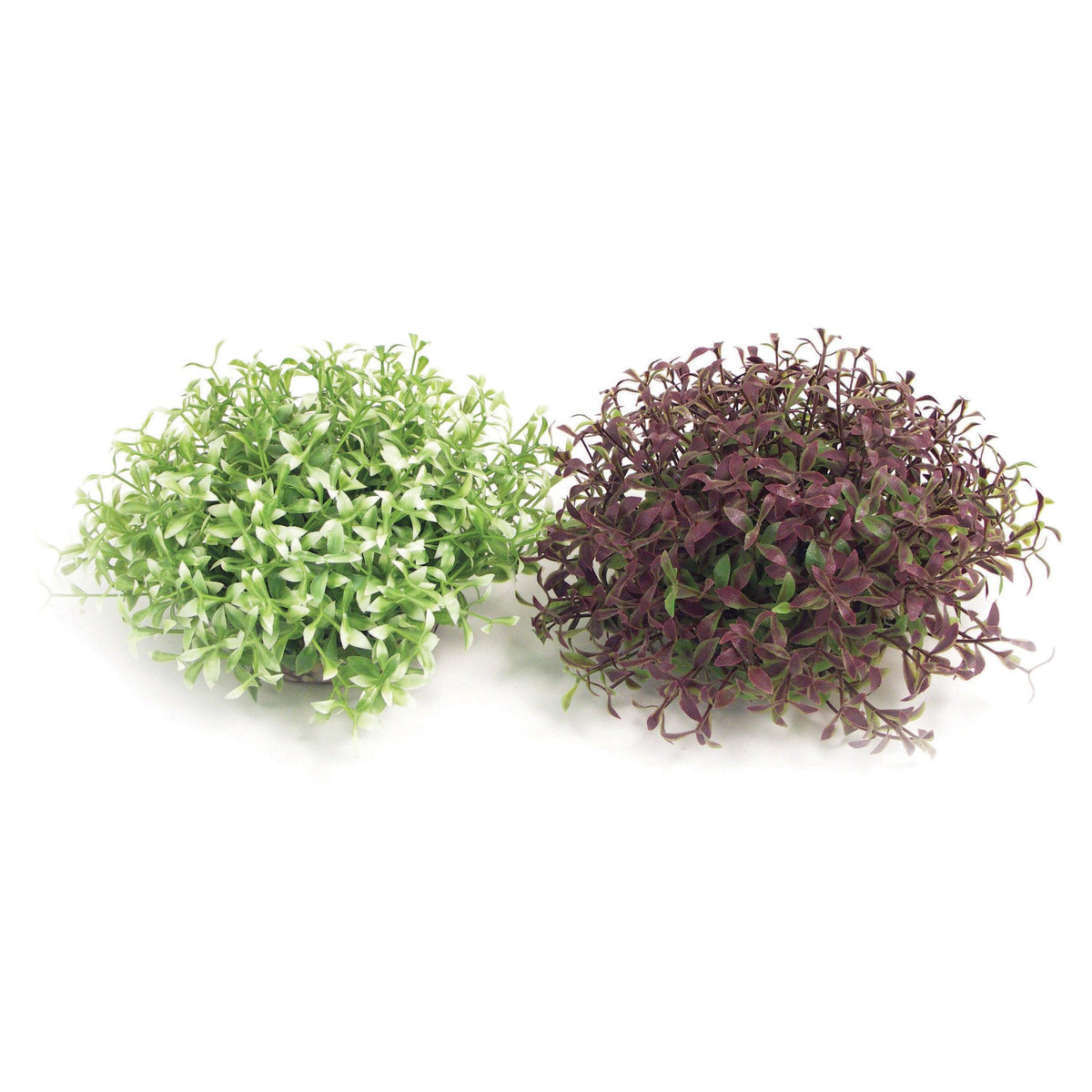 Rosewood Sydeco Water Ball Maxi - Case of 4