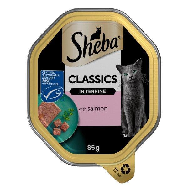 Sheba Tray Classic Salmon in Terrine 85g - Case of 22