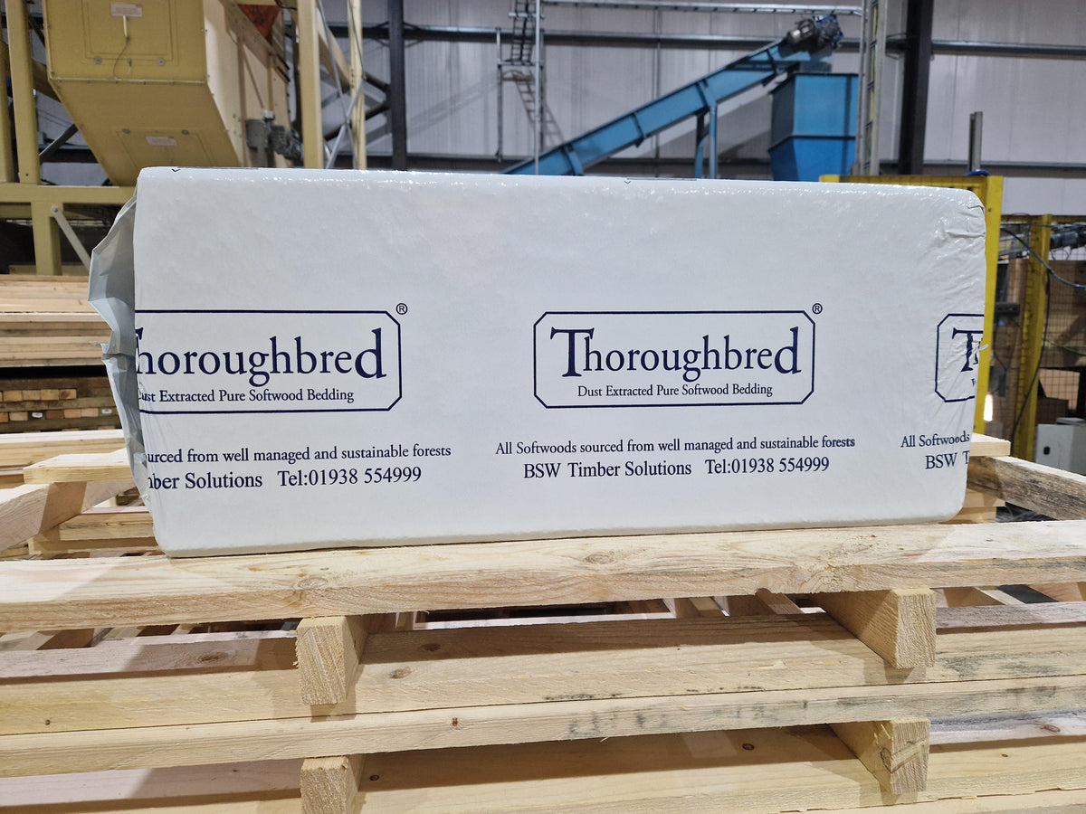 Thoroughbred Shavings 20.5kg