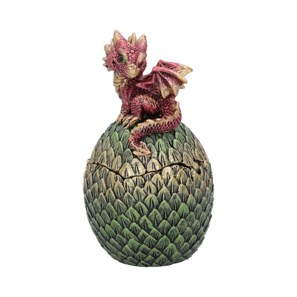 Dragonling Perch Box (Red) 14cm