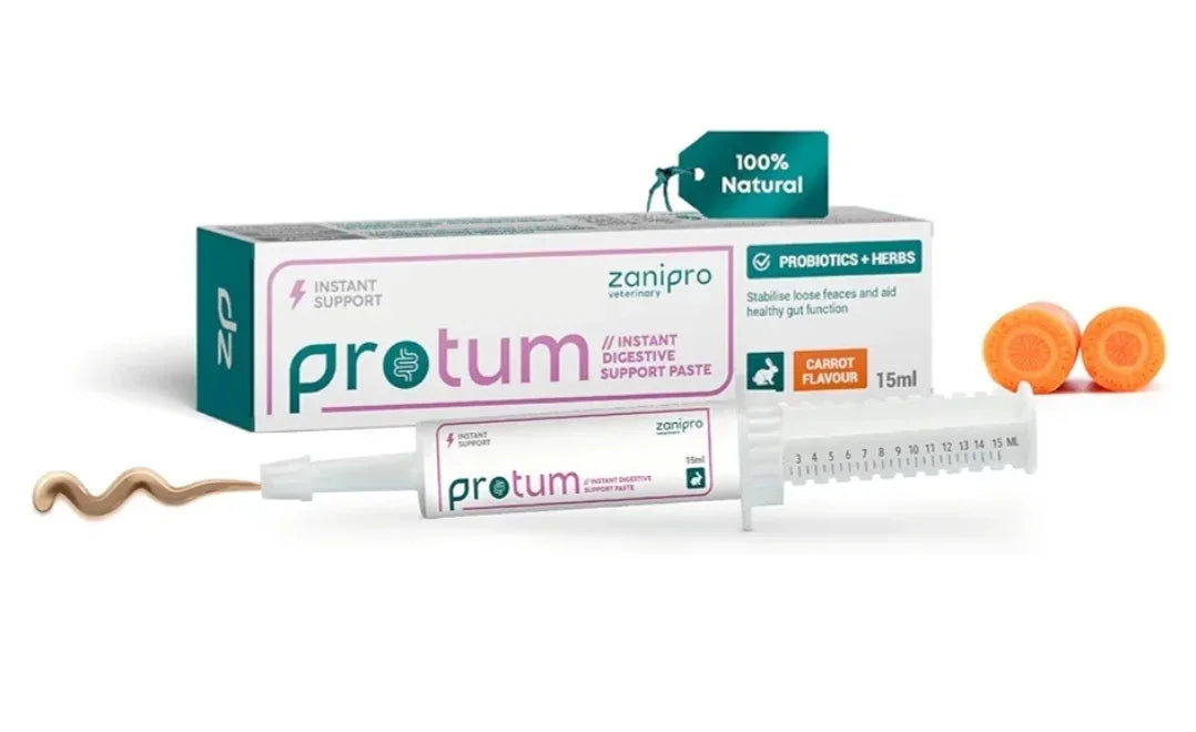 Veterinary Rabbit Probiotic Paste 15ml - Guinea Pig & Small Animals Carrot Flavour, Supports Gut Health, Promotes Digestive Balance, Precise Dosage Syringe - Easy to Use Critical Care Recovery