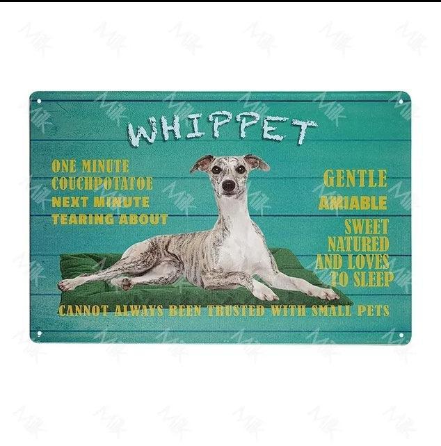 Whippet Dog Tin Sign
