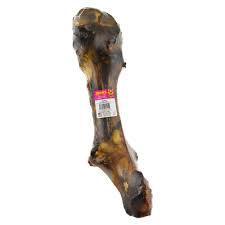 Whole T Rex Bone