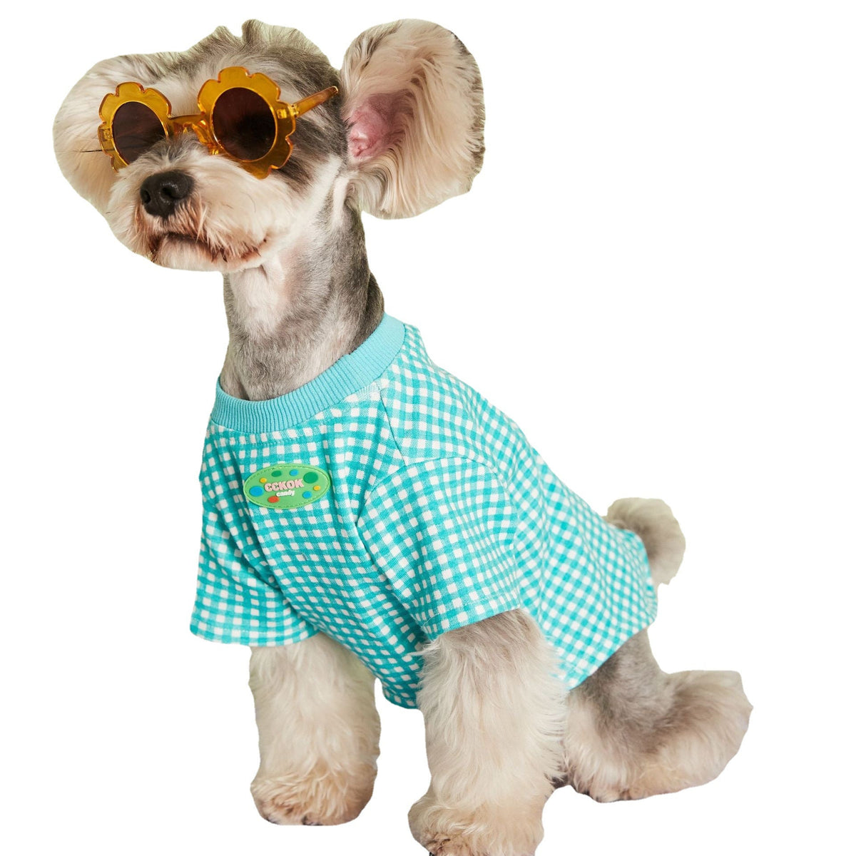 Summer Thin Candy Color Plaid T-Shirt Teddy