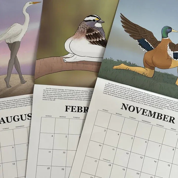 Extremely Accurate Birds Calendar Decorative Wall Monthly Calendar For Bird Lovers Room Calendars For Bedroom Living