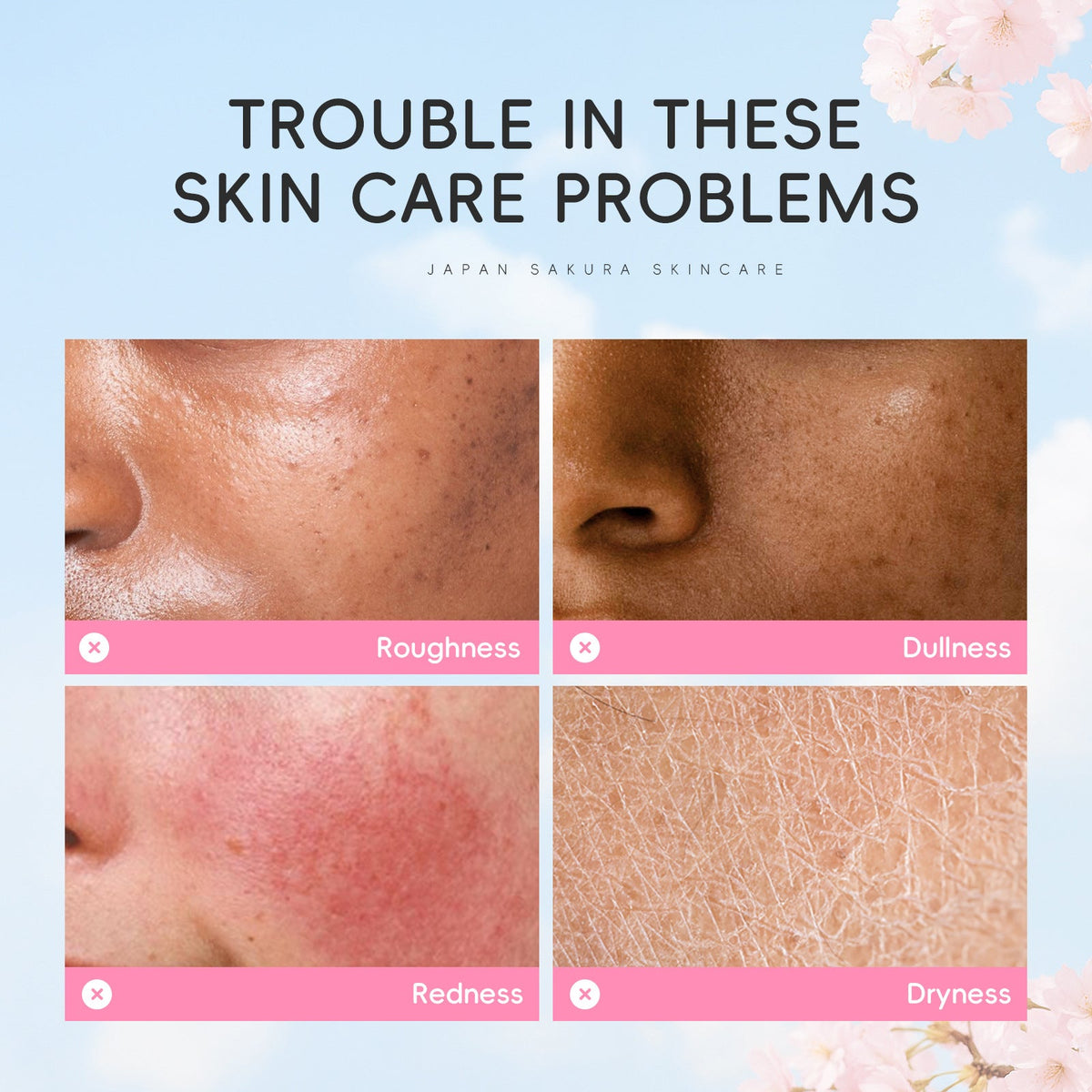 DR Japan Sakura Refreshing Toner