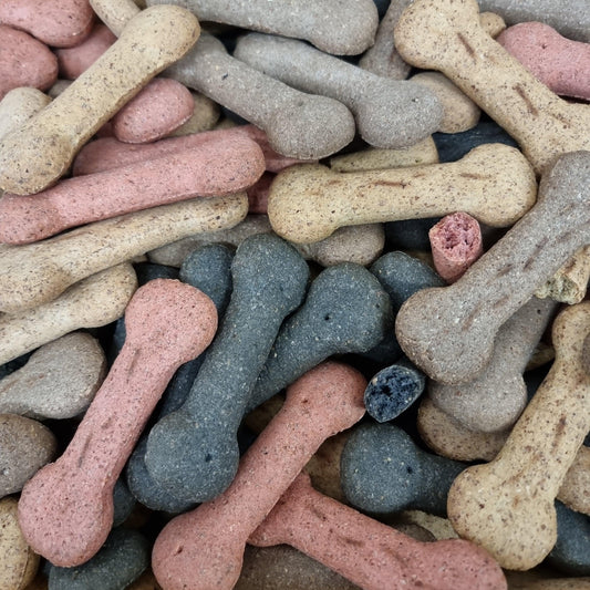 Galletas variadas con forma de hueso grande para perros - 500g