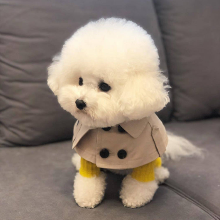 Dog collar beige British style pet
