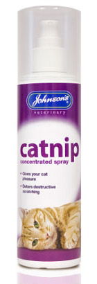 Jvp Cat Nip Pumpkin Spray 150ml - Case of 6