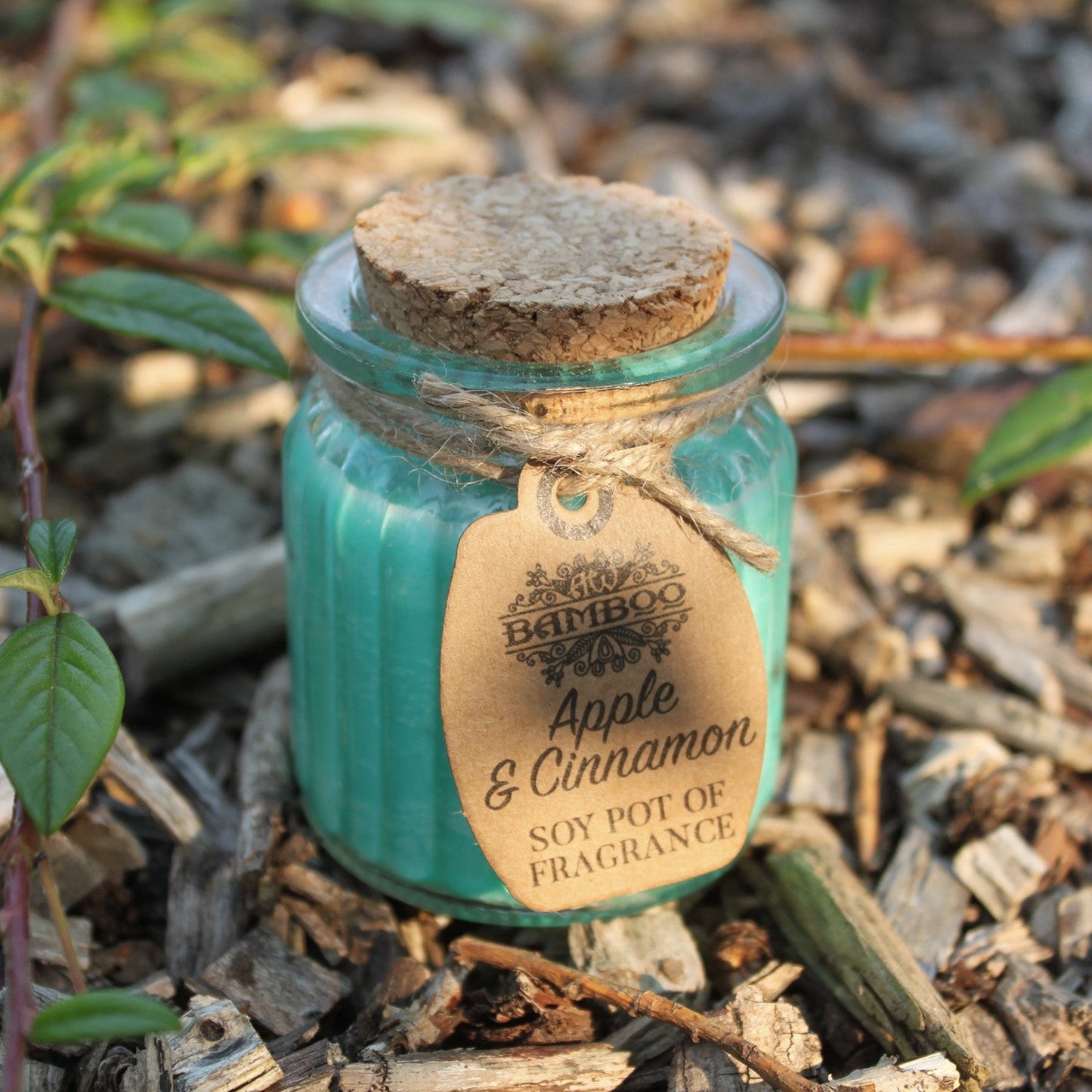 Apple & Cinnamon Soy Candle | 20-Hour Burn | Glass Jar with Cork Lid