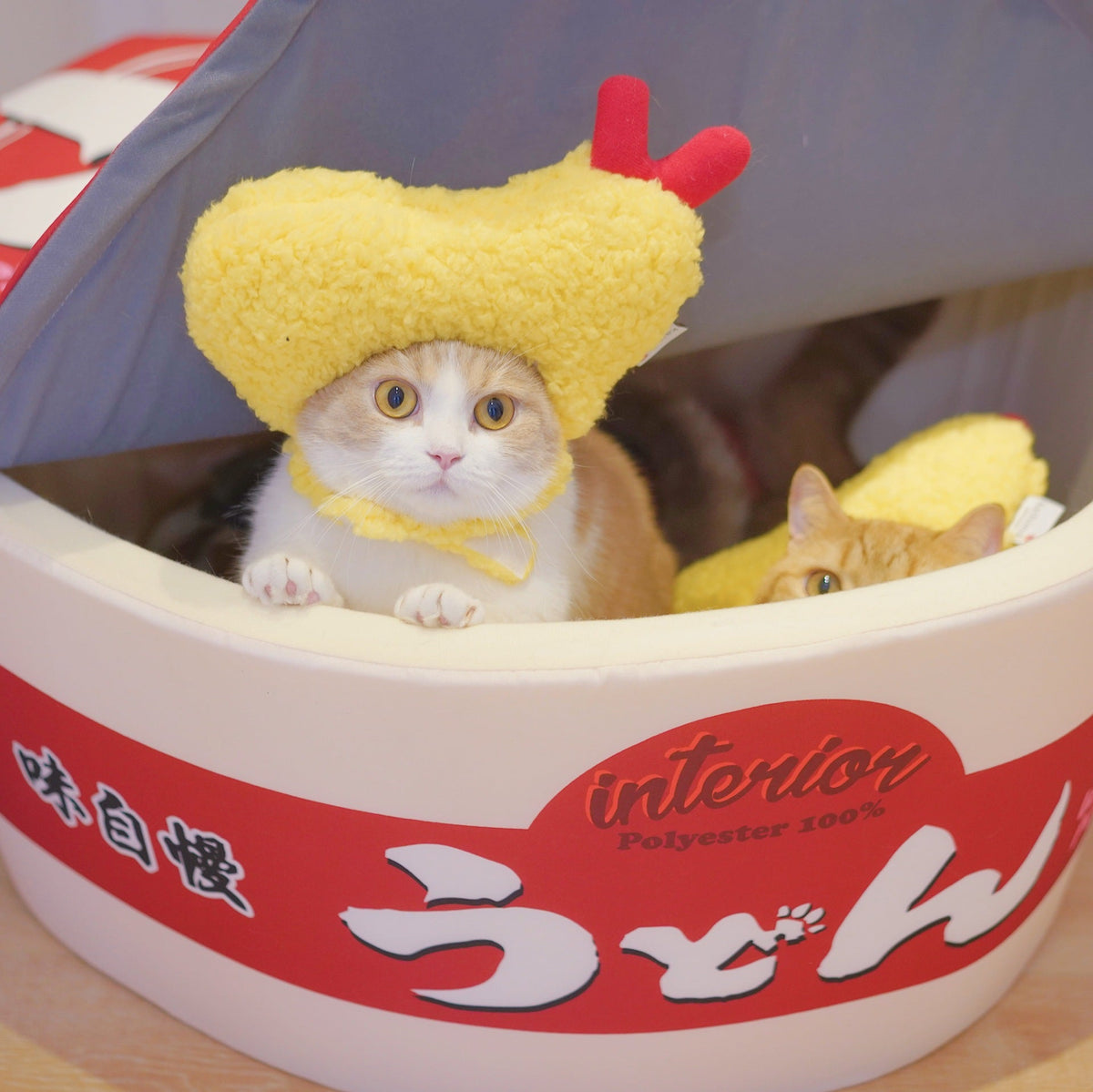 Tempura hat fried shrimp headgear