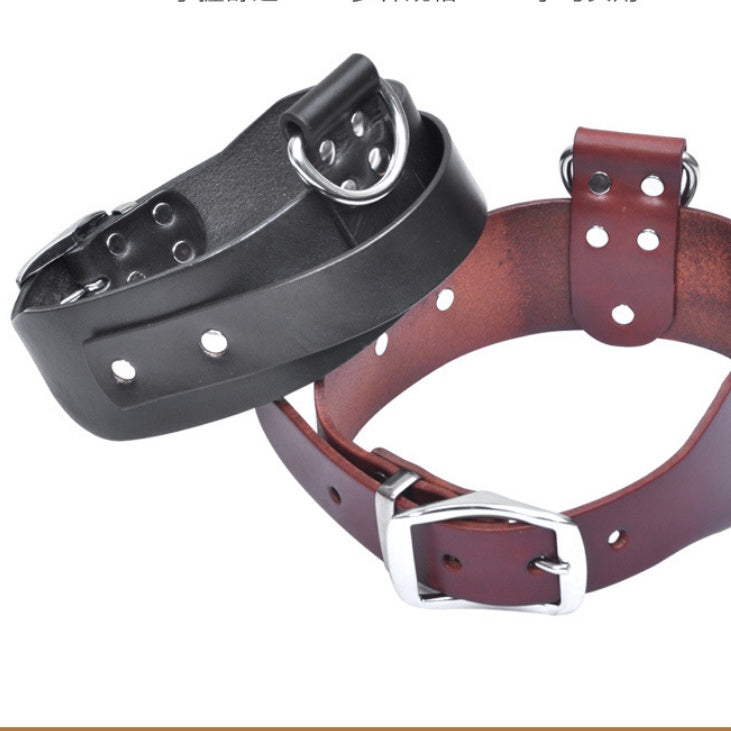 Large and medium sized dog collar adjustable pet collar