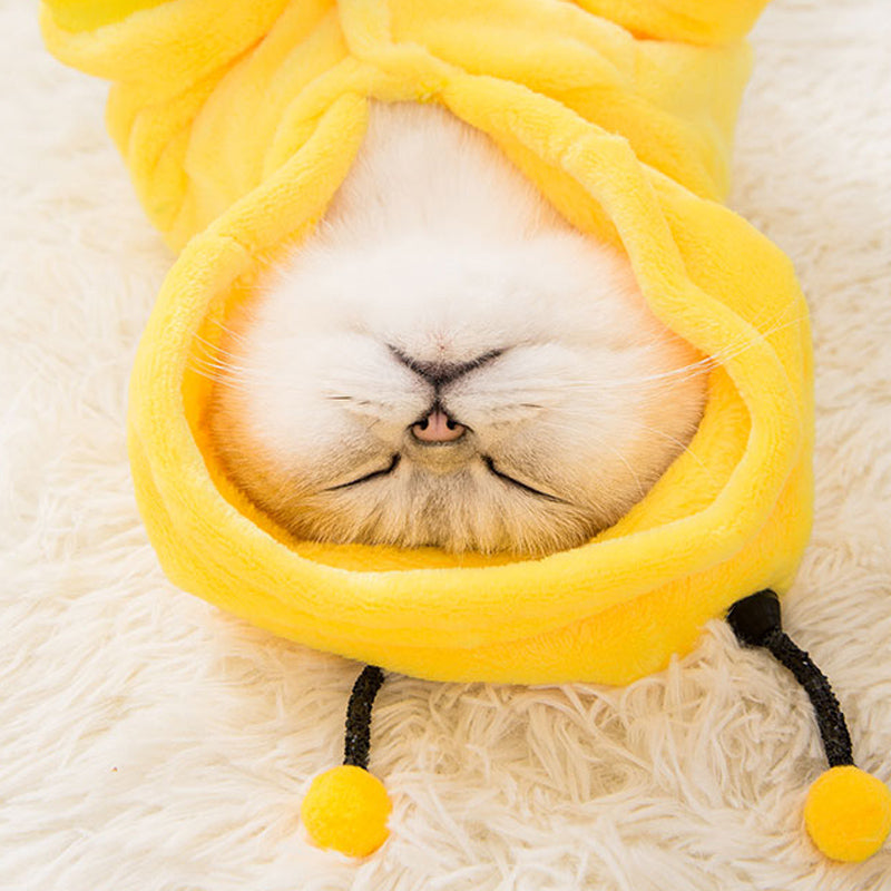 Net red cat disguise small milk cat hairless cat kitten four legged clothes cute cat pet English short autumn winter clothes
