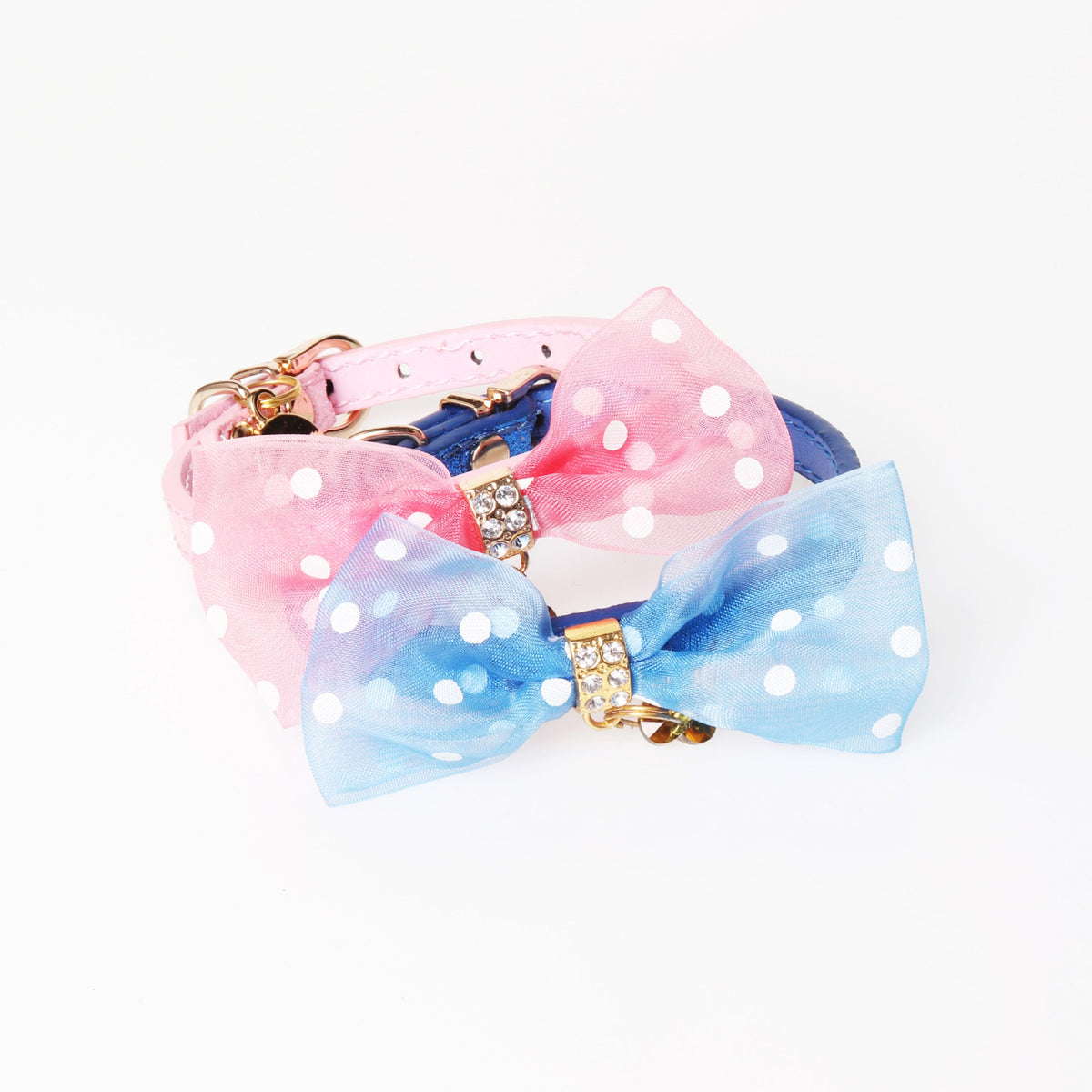 Bright Colors Collar