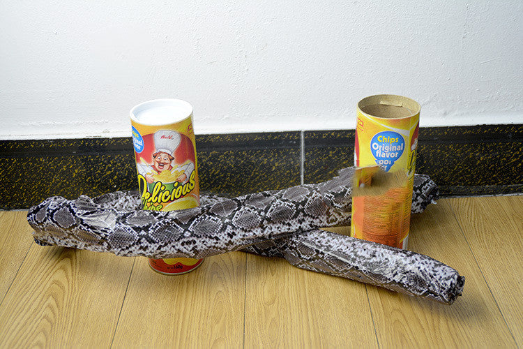 April Fool's Day Gift Students Spoof Potato Chip Snake