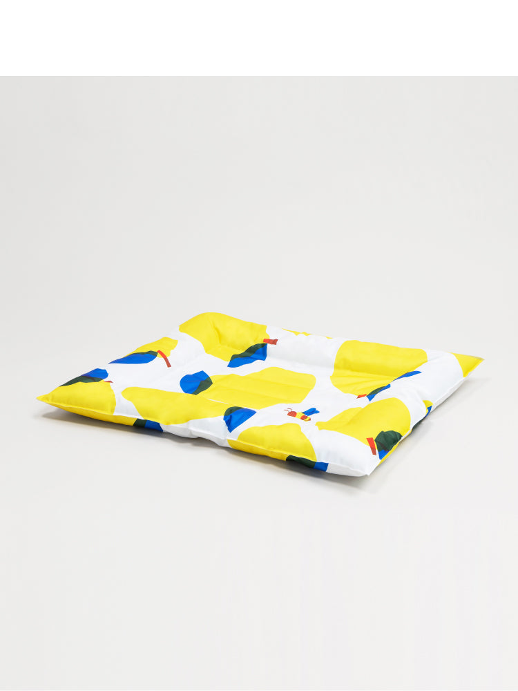 Pet Ice Pad Cooling Pad Gel Cooling Sleeping Pad Non-Sticky Dog Pad