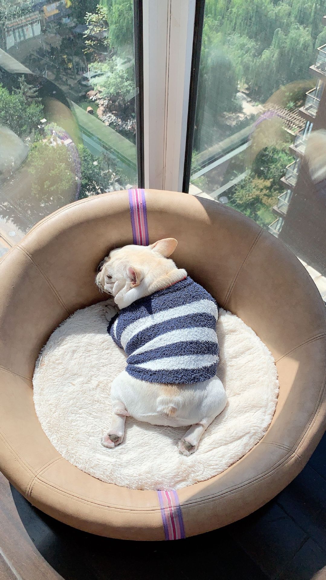New Pet Dog Clothes Soft Striped Sweater