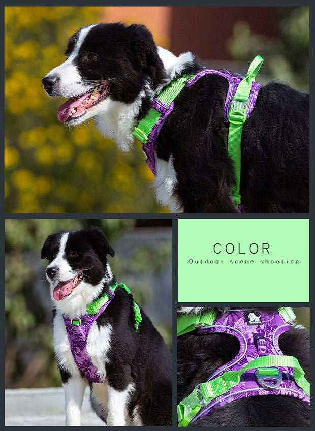 Labrador Comfortable Chest Strap