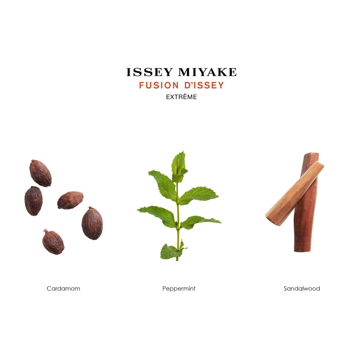 Issey Miyake Fusion D'issey Extreme Eau de Toilette Spray 100ml
