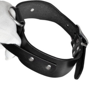 Large and medium sized dog collar adjustable pet collar