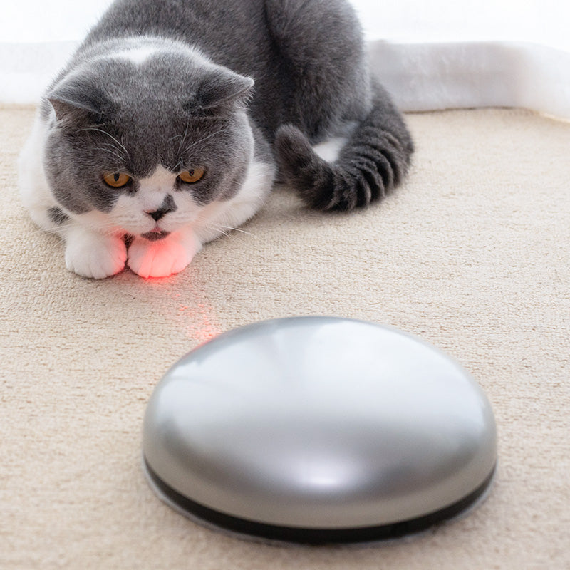 Funny cat sweeping robot