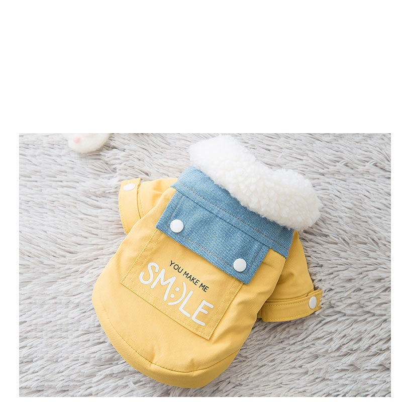 Teddy puppy autumn and winter clothes