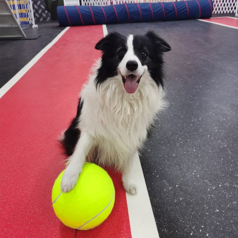 Tennis Pet Toy Inflatable Training Rubber Big Ball Elastic Ten Times Happy Corgi Golden Retriever